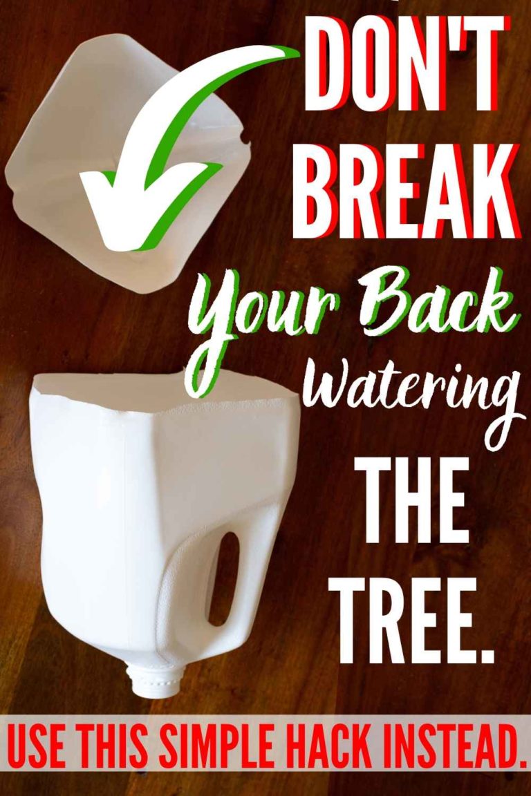 Easy DIY Christmas Tree Watering Funnel The Heathered Nest