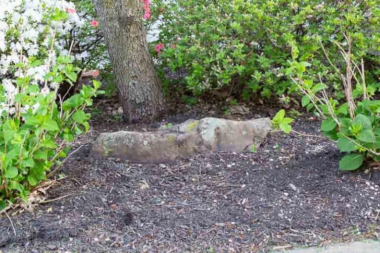 Ever try Mulch Dye? We did. The Heathered Nest