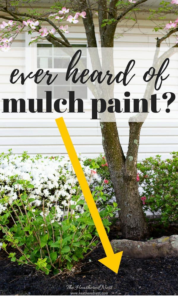 Ever try Mulch Dye? We did. - The Heathered Nest