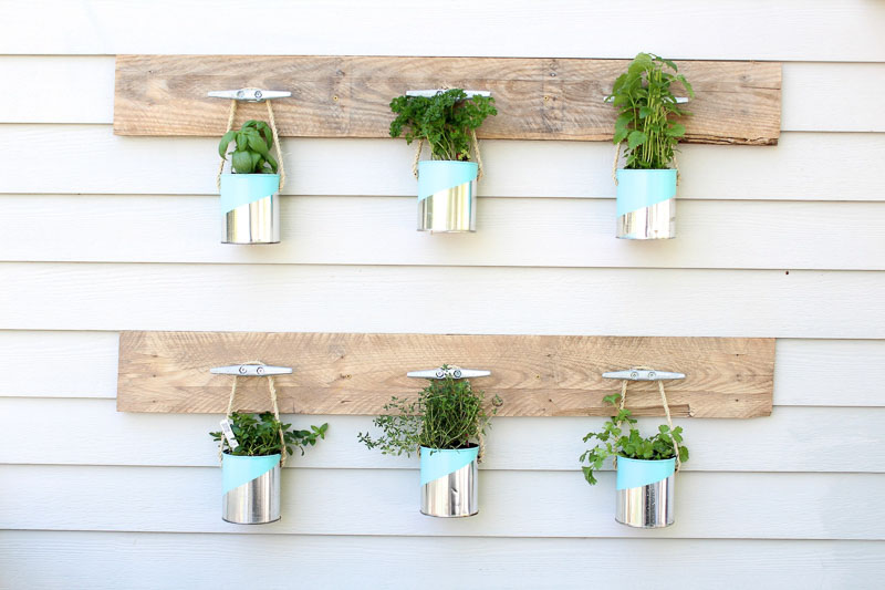 Boat dock hooks are used to hang old paint cans which house kitchen herbs to create a simple vertical planter