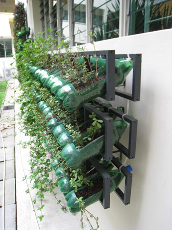 Old plastic CD racks upcycled along with plastic soda bottles to create a vertical garden attached to the exterior of a building