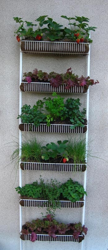 A great repurposing idea for a wire shower caddy or spice rack - make a DIY vertical garden, like this one seen used as a kitchen herb and strawberry garden
