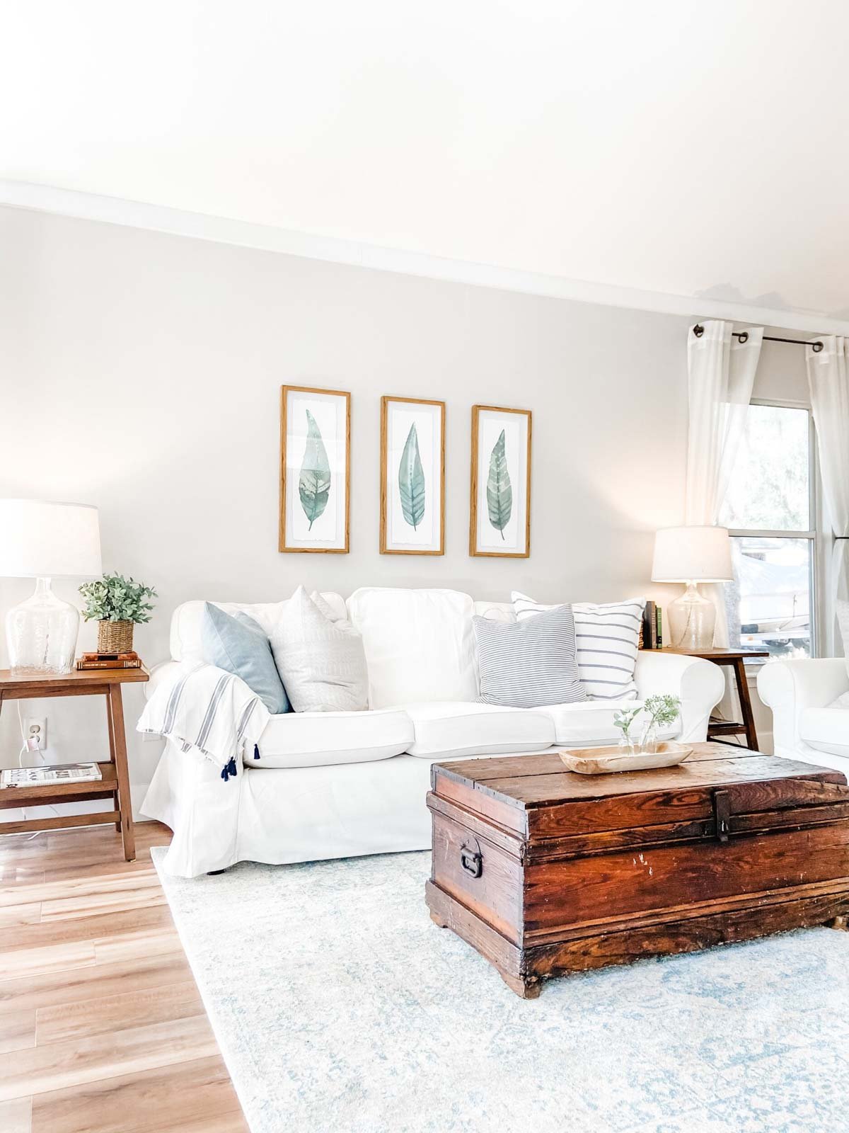 creamy agreeable gray painted living space