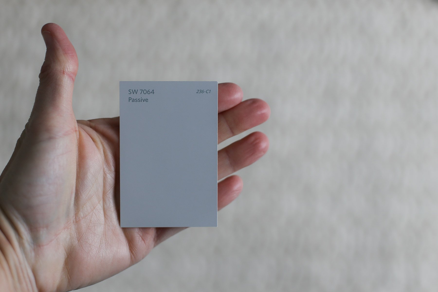 Sherwin Williams Passive SW 7064 ULTIMATE Review + Pictures!