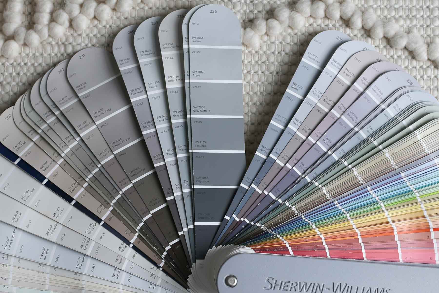 Sherwin Williams Passive SW 7064 ULTIMATE Review + Pictures!