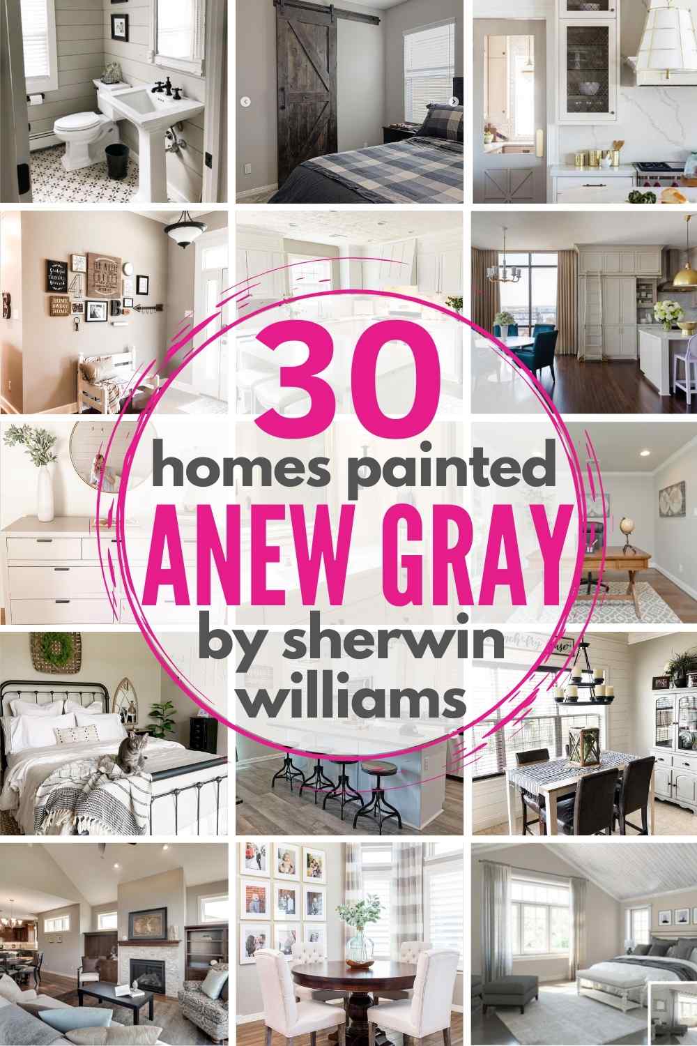 Sherwin Williams Anew Gray SW 7030 ULTIMATE Review + Pics!