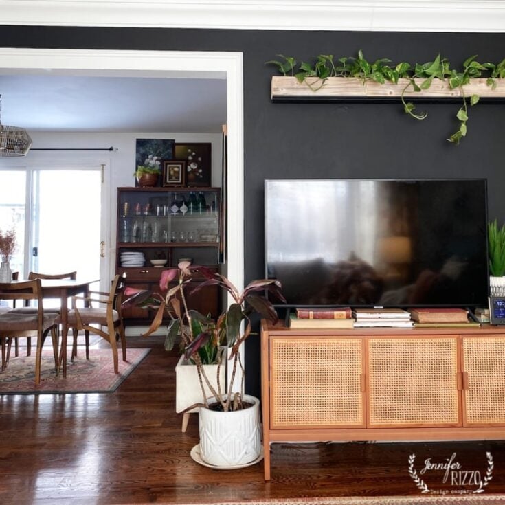Image for Living Room Black Accent Wall With Living Plant Feature