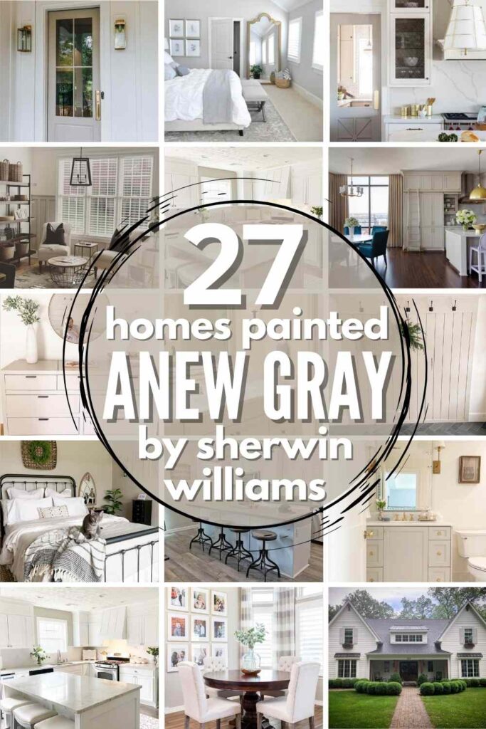 Sherwin Williams Anew Gray SW 7030: ULTIMATE Review + Pics!