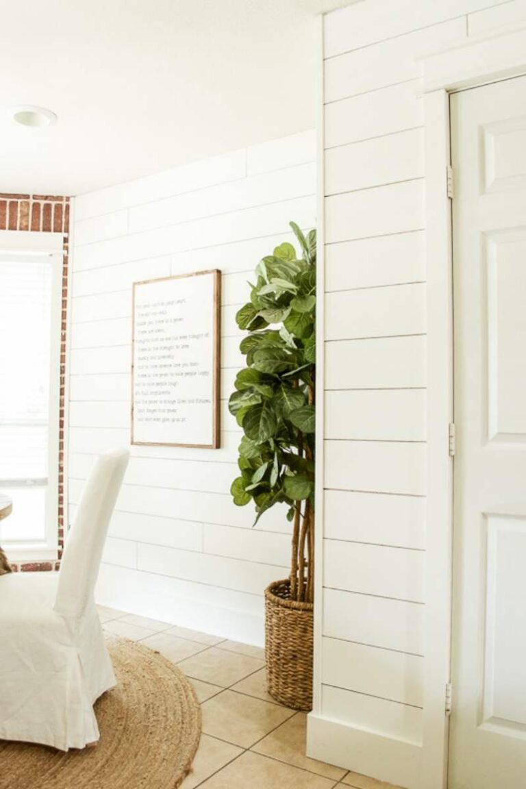19 STUNNING Shiplap Accent Walls!