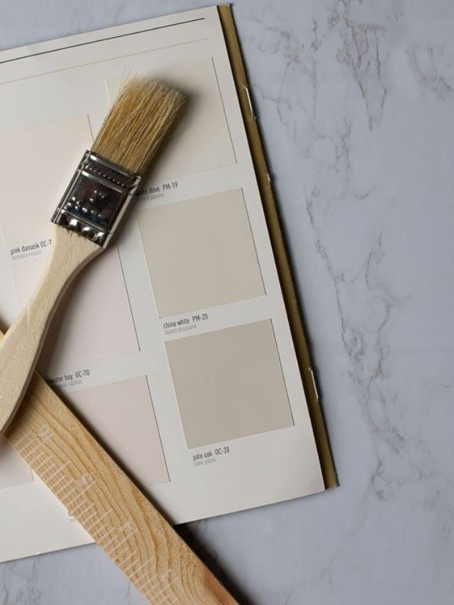 Pale Oak By Benjamin Moore Story The Heathered Nest - Benjamin Moore Pale Oak Paint Colour Chart Pale Oak By Benjamin Moore Story The Heathered Nest - Benjamin Moore Pale Oak Paint Colour Chart