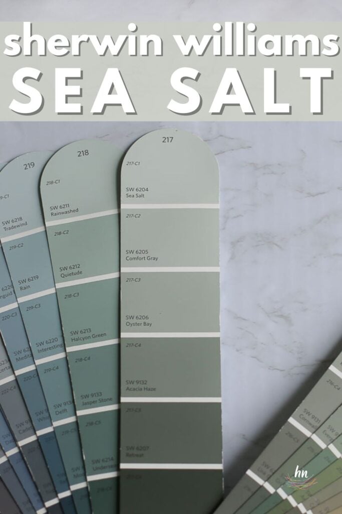 Sherwin Williams Sea Salt SW 6204 paint swatch in a fan deck on a marble surface