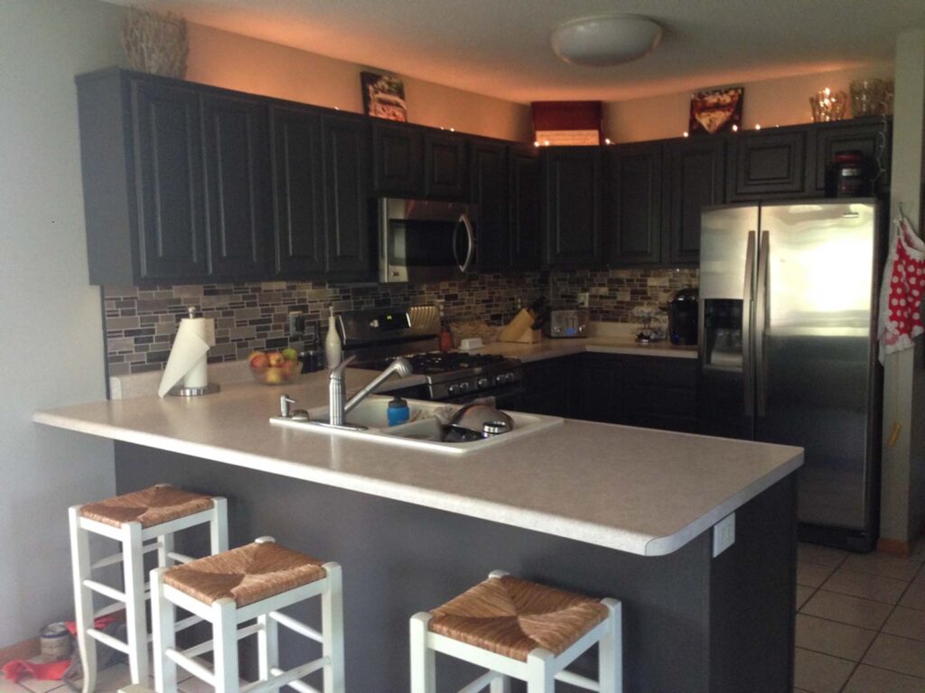 Sherwin Williams Black Fox (SW 7020) ULTIMATE Review + Pictures