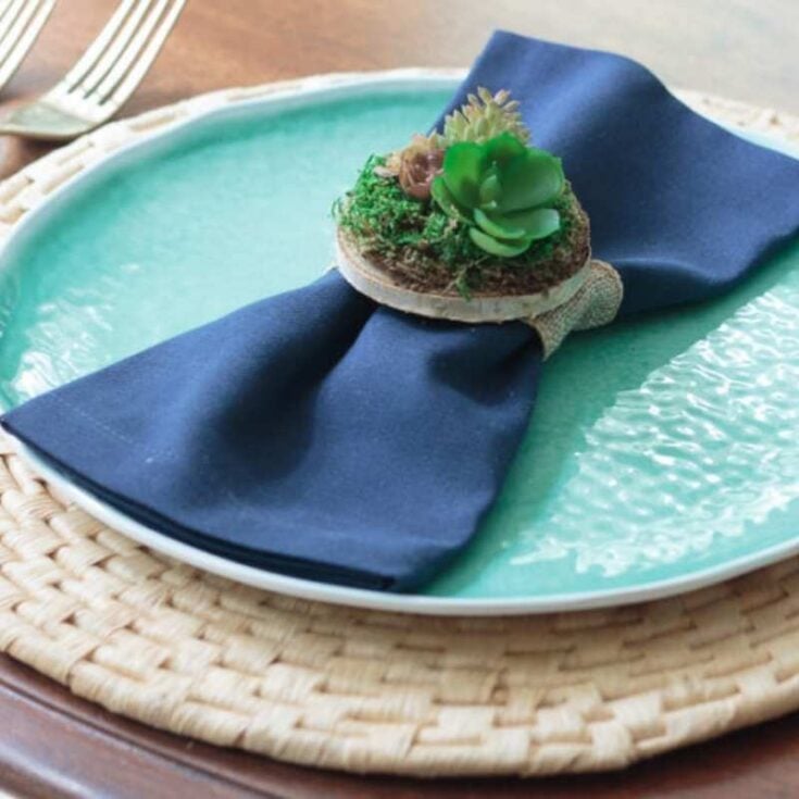 succulent napkin rings