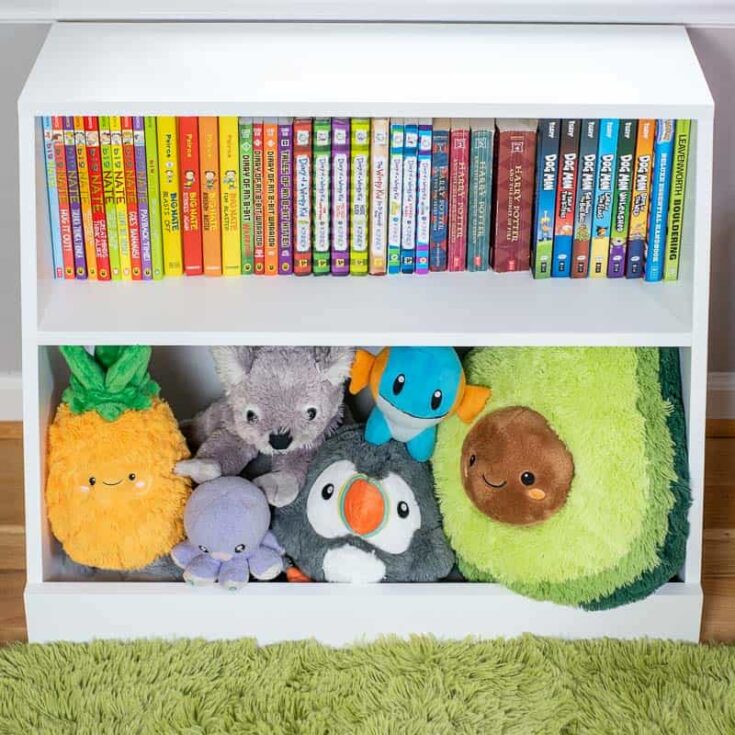 bookshelf animal storage