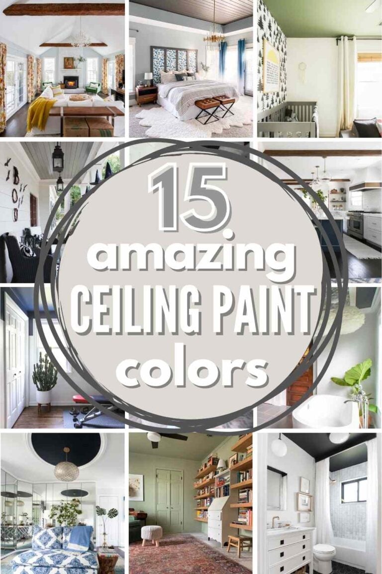 Best Paint For Your Ceiling (Best Ceiling Paint Colors) The Heathered