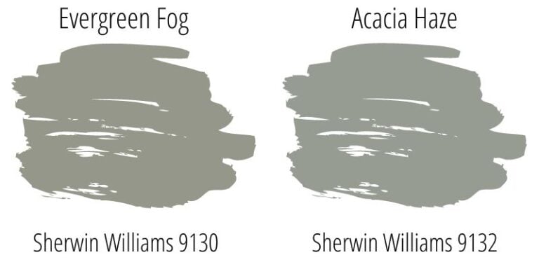 Acacia Haze Vs Evergreen Fog