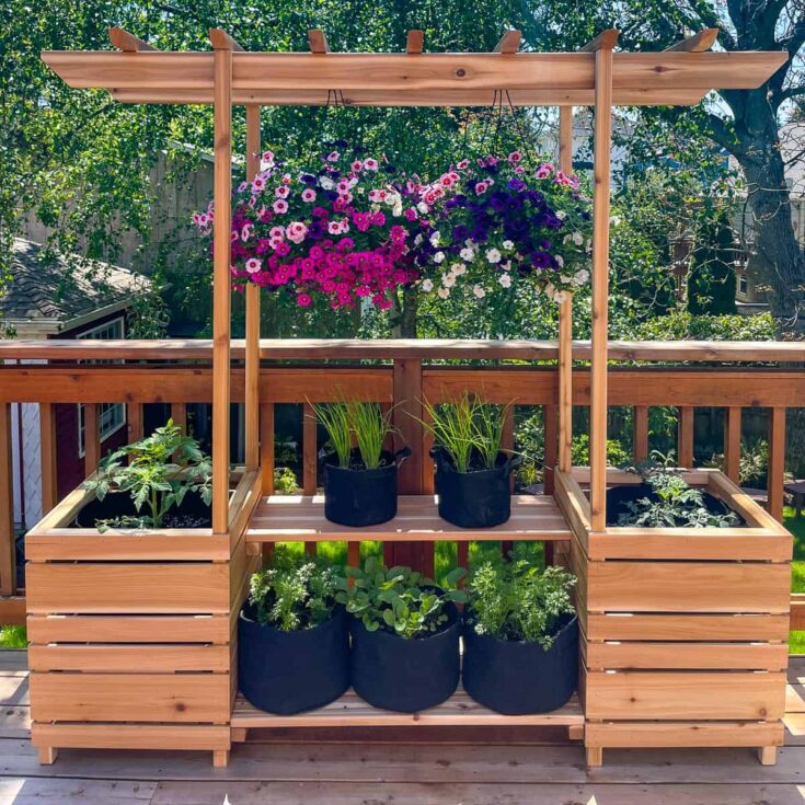 plant stand with arbor